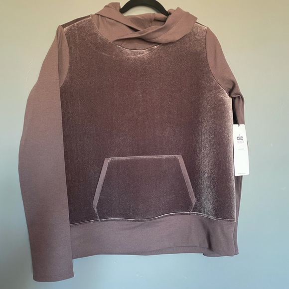 ALO YOGA Luxe Velour Long Sleeve Hoodie in Raisin - Picture 3 of 7